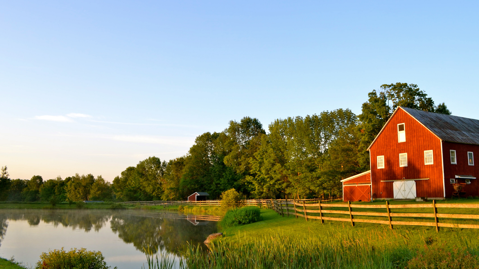 Programme d'investissement à la ferme pour la volaille et les œufs (PIFVO)